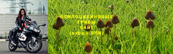 мдма Ладушкин