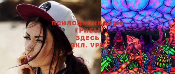 гашик Лабытнанги