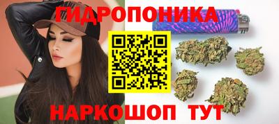 амф Канаш