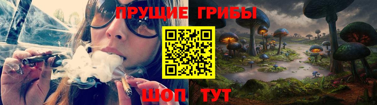 Сосновый Бор  Псилоцибиновые грибы Cubensis  где купить наркоту  Вход с VPN 
